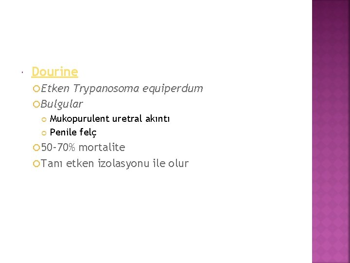  Dourine Etken Trypanosoma equiperdum Bulgular Mukopurulent uretral akıntı Penile felç 50 -70% mortalite