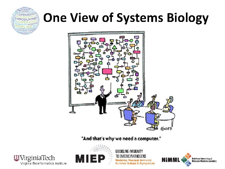 One View of Systems Biology 