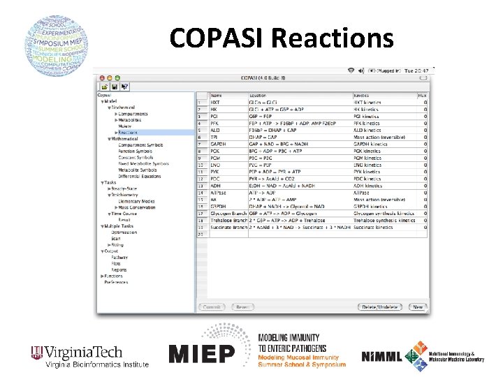COPASI Reactions 