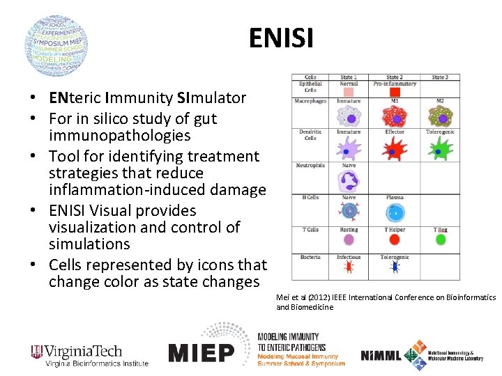 ENISI • ENteric Immunity SImulator • For in silico study of gut immunopathologies •