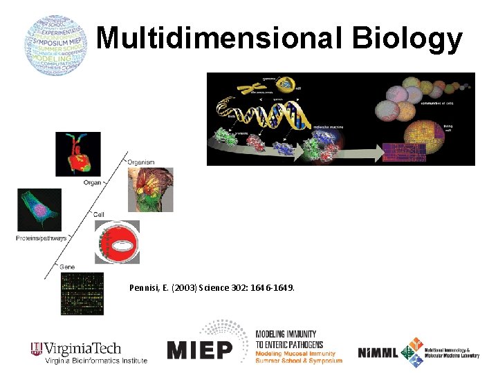 Multidimensional Biology Pennisi, E. (2003) Science 302: 1646 -1649. 