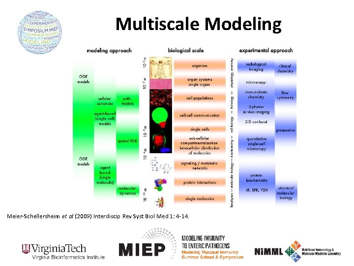Multiscale Modeling Meier-Schellersheim et al (2009) Interdiscip Rev Syst Biol Med 1: 4 -14.
