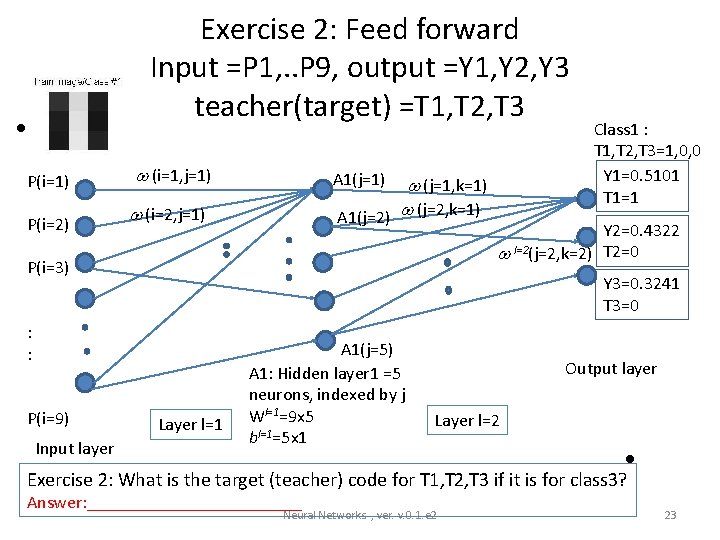  • P(i=1) P(i=2) Exercise 2: Feed forward Input =P 1, . . P