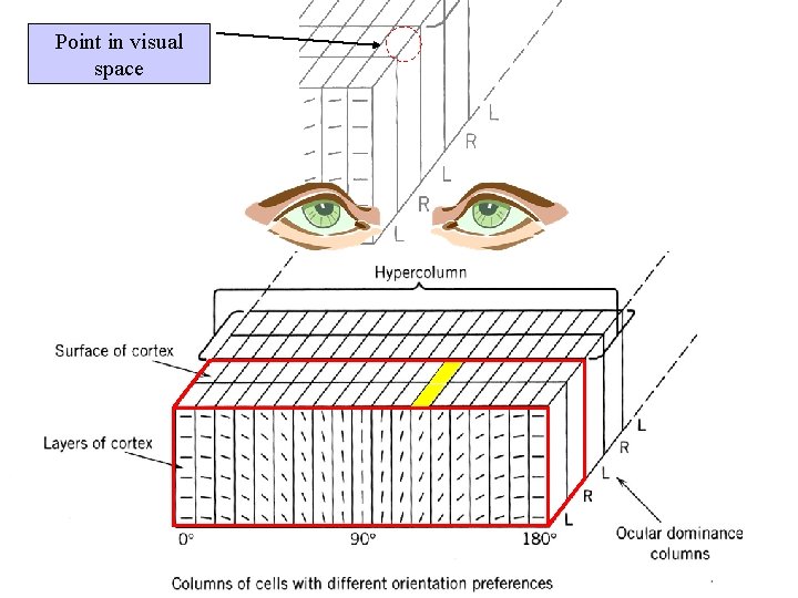 Point in visual space 