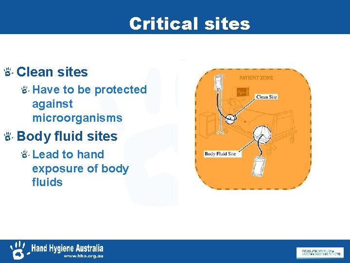 Critical sites Clean sites Have to be protected against microorganisms Body fluid sites Lead