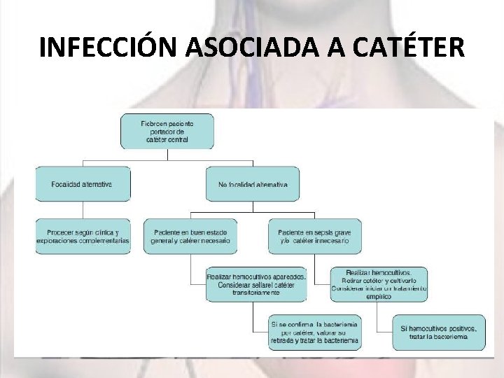 INFECCIÓN ASOCIADA A CATÉTER 