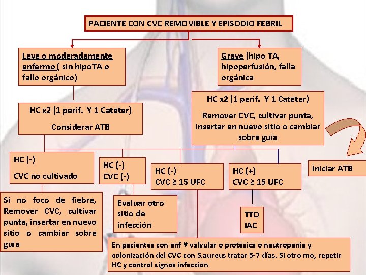 PACIENTE CON CVC REMOVIBLE Y EPISODIO FEBRIL Leve o moderadamente enfermo ( sin hipo.