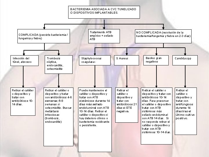 BACTERIEMIA ASOCIADA A CVC TUNELIZADO O DISPOSITIVOS IMPLANTABLES. COMPLICADA (persiste bacteriemia / fungemia y