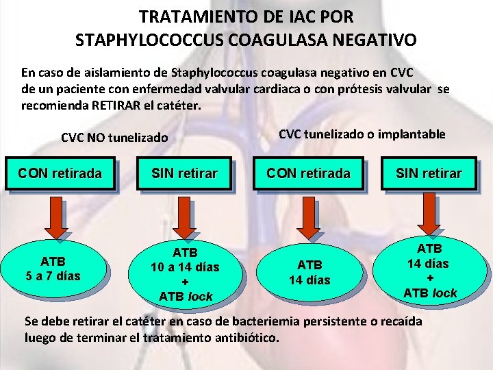 TRATAMIENTO DE IAC POR STAPHYLOCOCCUS COAGULASA NEGATIVO En caso de aislamiento de Staphylococcus coagulasa