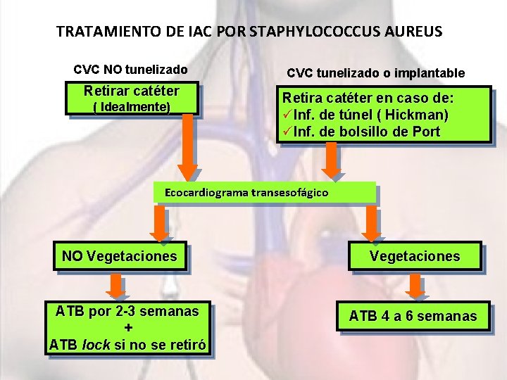 TRATAMIENTO DE IAC POR STAPHYLOCOCCUS AUREUS CVC NO tunelizado Retirar catéter ( Idealmente) CVC