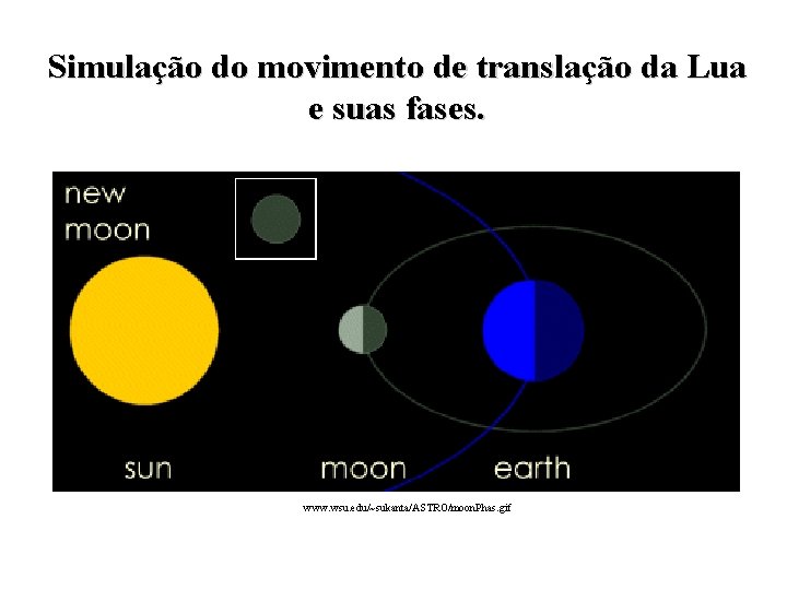 Simulação do movimento de translação da Lua e suas fases. www. wsu. edu/~sukanta/ASTRO/moon. Phas.