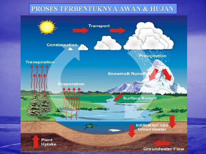 PROSES TERBENTUKNYA AWAN & HUJAN 