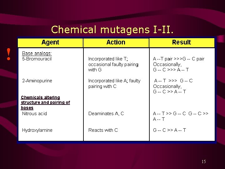Chemical mutagens I-II. ! Chemicals altering structure and pairing of bases 15 