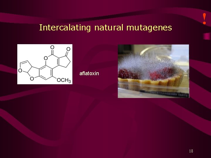 ! Intercalating natural mutagenes aflatoxin 18 