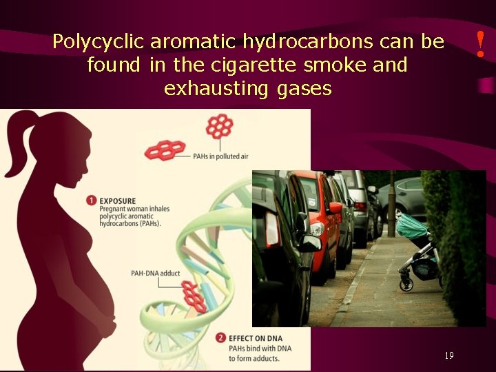 Polycyclic aromatic hydrocarbons can be found in the cigarette smoke and exhausting gases 19