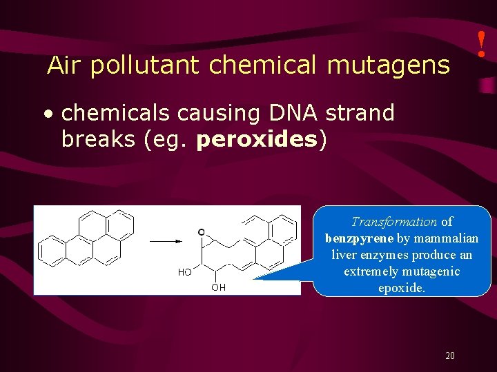 Air pollutant chemical mutagens ! • chemicals causing DNA strand breaks (eg. peroxides) Transformation