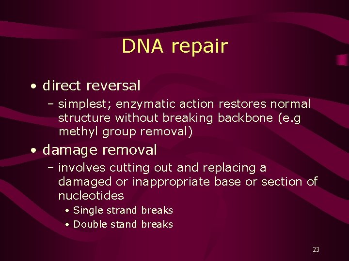 DNA repair • direct reversal – simplest; enzymatic action restores normal structure without breaking