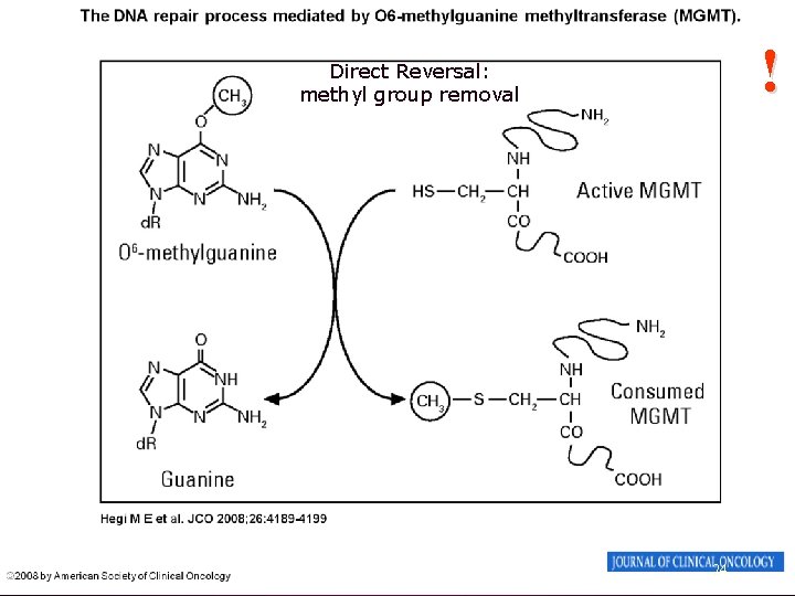 ! Direct Reversal: methyl group removal 24 
