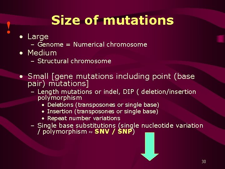 ! Size of mutations • Large – Genome = Numerical chromosome • Medium –