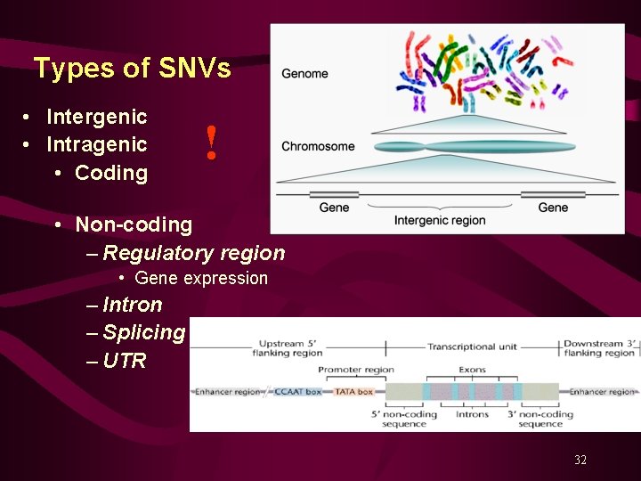 Types of SNVs • Intergenic • Intragenic • Coding ! • Non-coding – Regulatory
