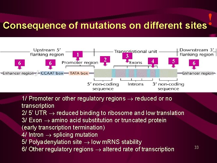 Consequence of mutations on different sites 1 6 6 2 3 4 5 1/