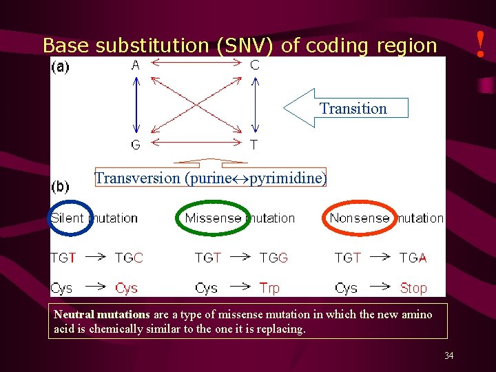 ! Base substitution (SNV) of coding region Transition Transversion (purine pyrimidine) Neutral mutations are