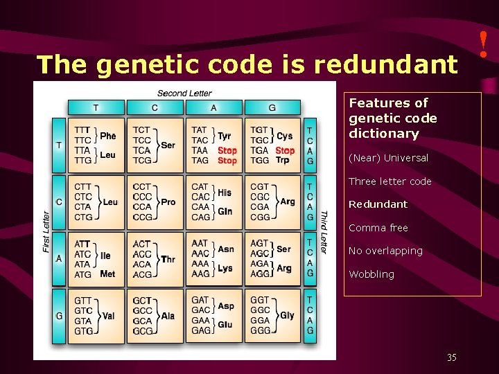 The genetic code is redundant Features of genetic code dictionary (Near) Universal Three letter