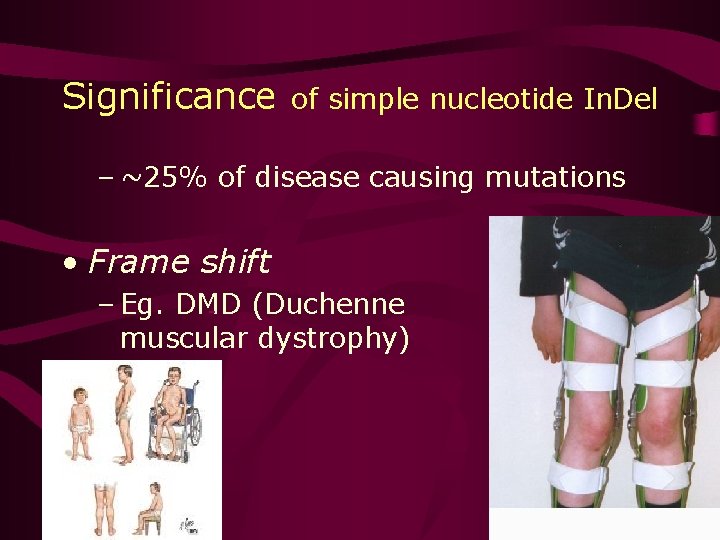 Significance of simple nucleotide In. Del – ~25% of disease causing mutations • Frame