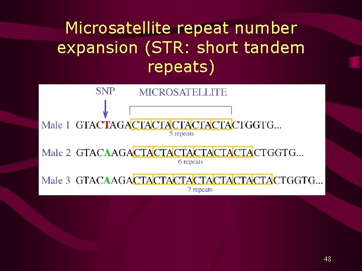 Microsatellite repeat number expansion (STR: short tandem repeats) 48 