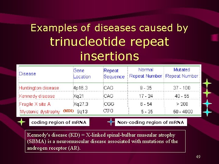Examples of diseases caused by trinucleotide repeat insertions (MD 1) coding region of m.