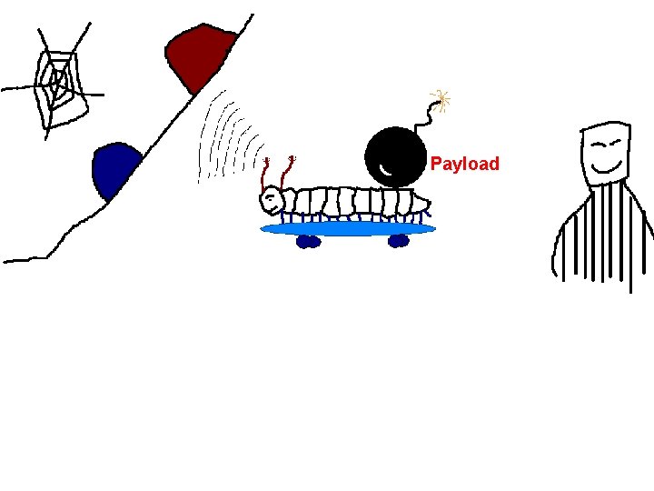Payload 