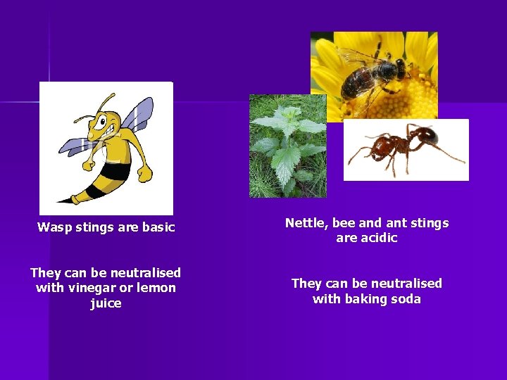 Wasp stings are basic Nettle, bee and ant stings are acidic They can be