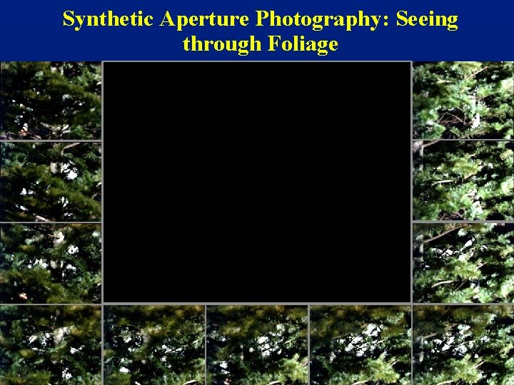 Synthetic Aperture Photography: Seeing through Foliage Ó 2004 Marc Levoy 