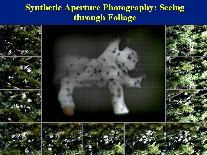 Synthetic Aperture Photography: Seeing through Foliage Ó 2004 Marc Levoy 