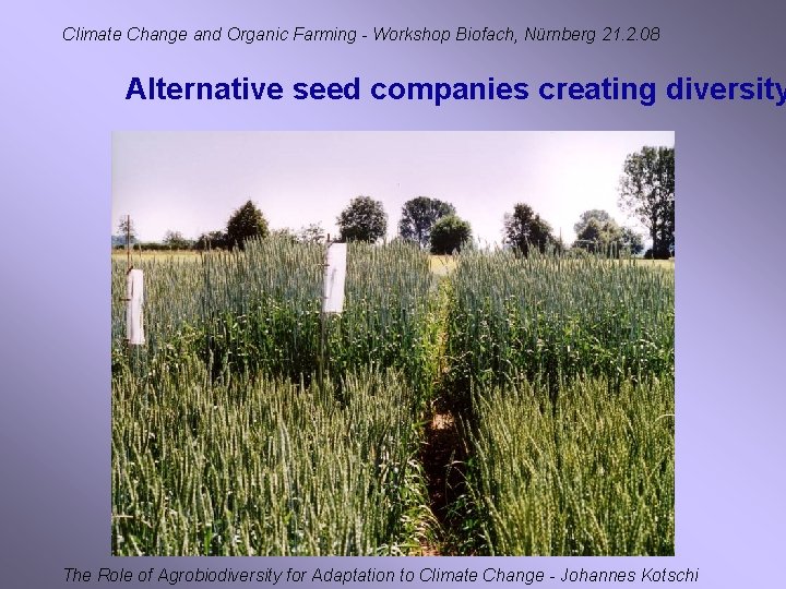 Climate Change and Organic Farming - Workshop Biofach, Nürnberg 21. 2. 08 Alternative seed