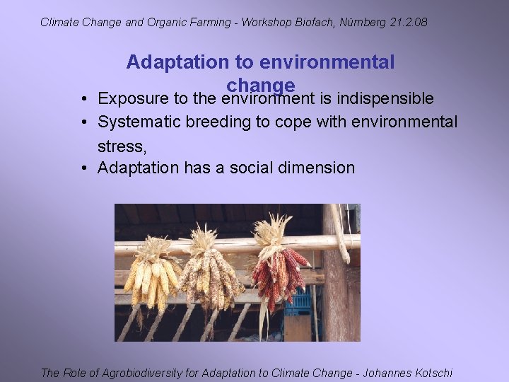 Climate Change and Organic Farming - Workshop Biofach, Nürnberg 21. 2. 08 Adaptation to