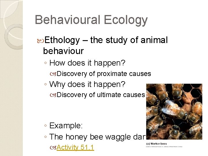 Behavioural Ecology Ethology – the study of animal behaviour ◦ How does it happen?