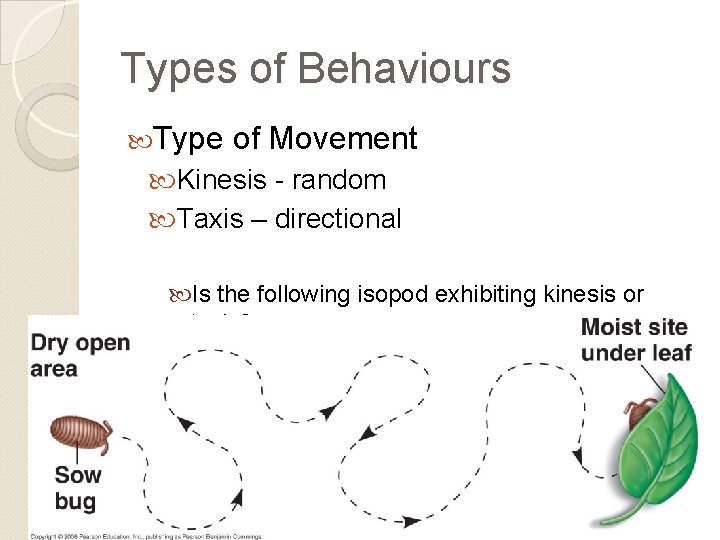 Types of Behaviours Type of Movement Kinesis - random Taxis – directional Is the