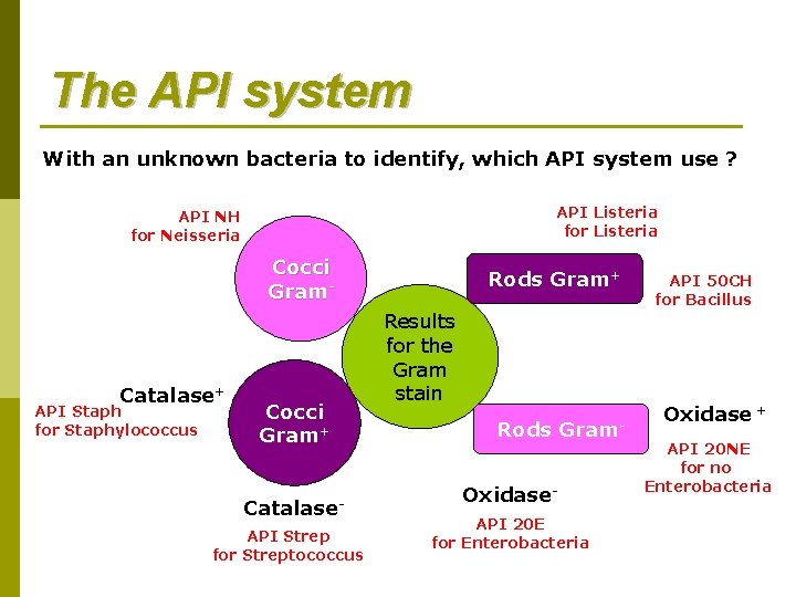 The API system With an unknown bacteria to identify, which API system use ? The API system With an unknown bacteria to identify, which API system use ?