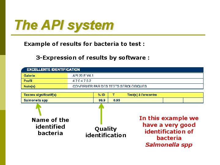 The API system Example of results for bacteria to test : 3 -Expression of The API system Example of results for bacteria to test : 3 -Expression of