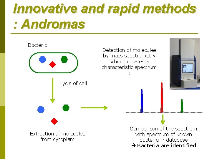 Innovative and rapid methods : Andromas Bacteria Detection of molecules by mass spectrometry whitch Innovative and rapid methods : Andromas Bacteria Detection of molecules by mass spectrometry whitch