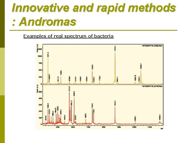 Innovative and rapid methods : Andromas Examples of real spectrum of bacteria Innovative and rapid methods : Andromas Examples of real spectrum of bacteria
