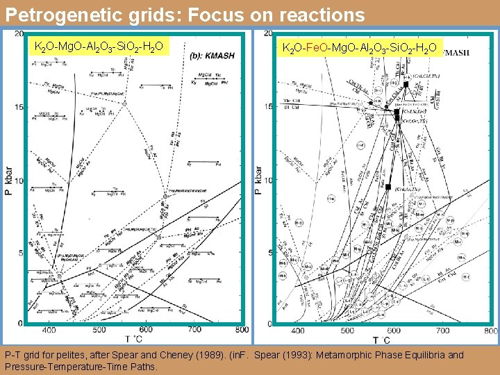 Petrogenetic grids: Focus on reactions K 2 O-Mg. O-Al 2 O 3 -Si. O