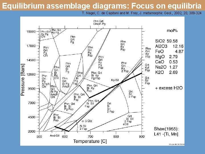 Equilibrium assemblage diagrams: Focus on equilibria T. Nagel, C. de Capitani and M. Frey,