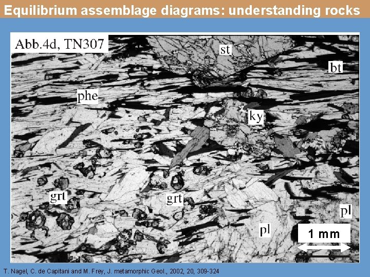 Equilibrium assemblage diagrams: understanding rocks 1 mm T. Nagel, C. de Capitani and M.