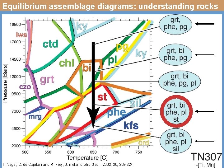 Equilibrium assemblage diagrams: understanding rocks T. Nagel, C. de Capitani and M. Frey, J.