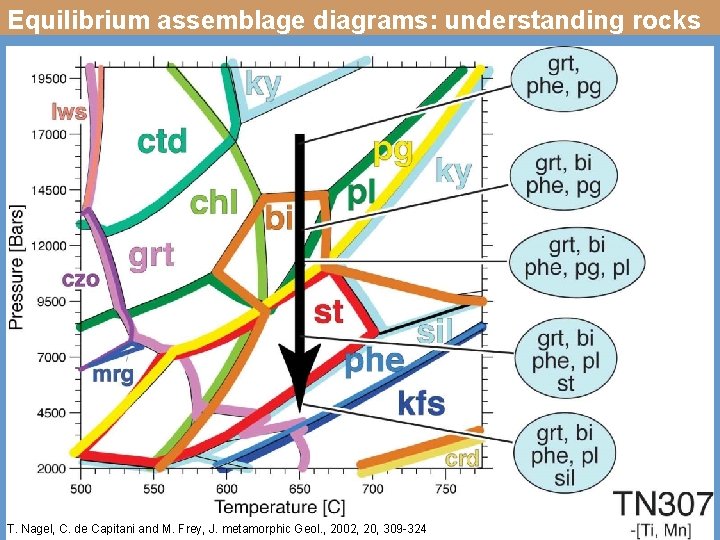 Equilibrium assemblage diagrams: understanding rocks T. Nagel, C. de Capitani and M. Frey, J.
