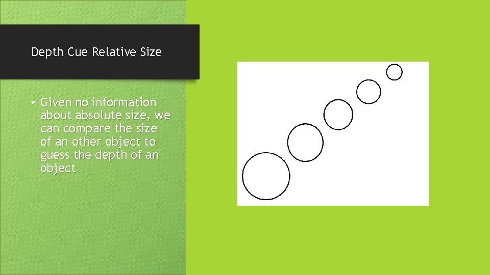 Depth Cue Relative Size • Given no information about absolute size, we can compare