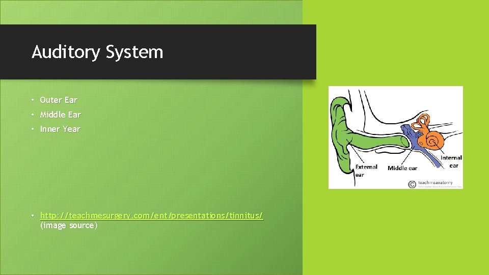 Auditory System • Outer Ear • Middle Ear • Inner Year • http: //teachmesurgery.