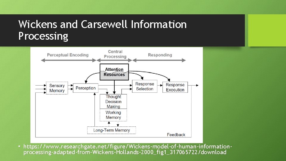 Wickens and Carsewell Information Processing • https: //www. researchgate. net/figure/Wickens-model-of-human-informationprocessing-adapted-from-Wickens-Hollands-2000_fig 1_317065722/download 